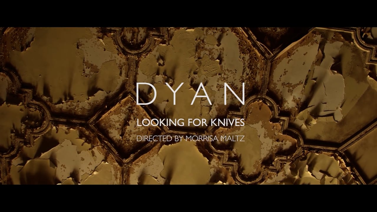 Thumbnail for DYAN - Looking for Knives project