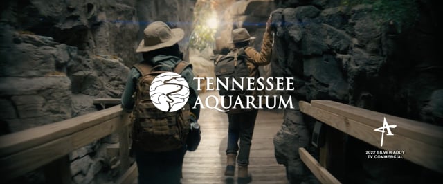 Tennessee Aquarium | The Curious Map :30 | Leif Ramsey