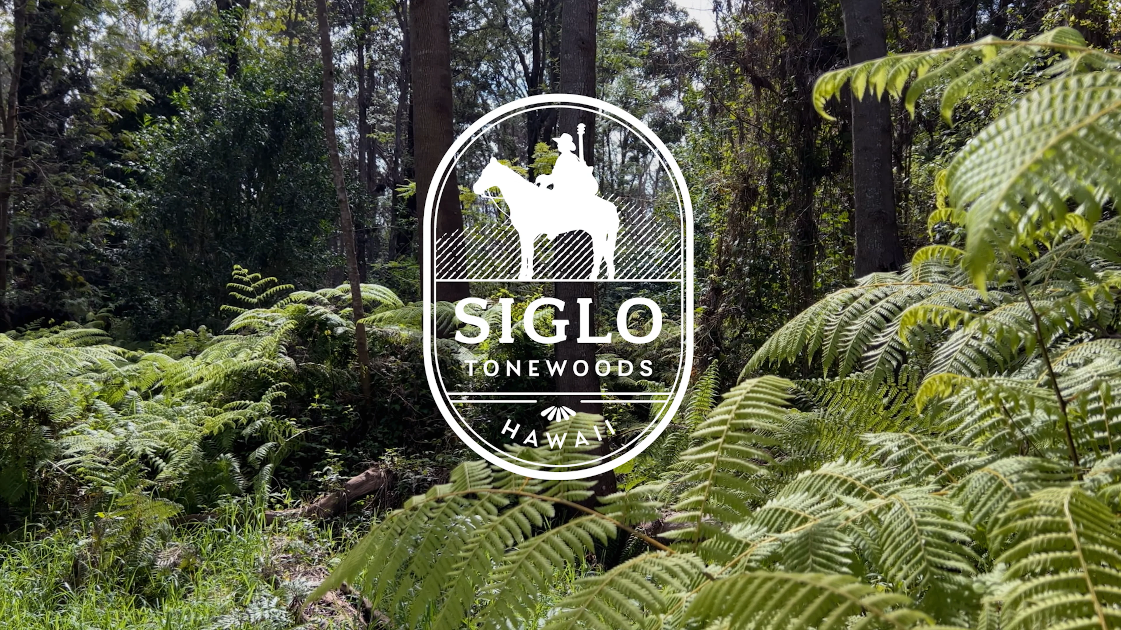 SIGLO_TONEWOODS_4K_H264, image size:3840x2160
