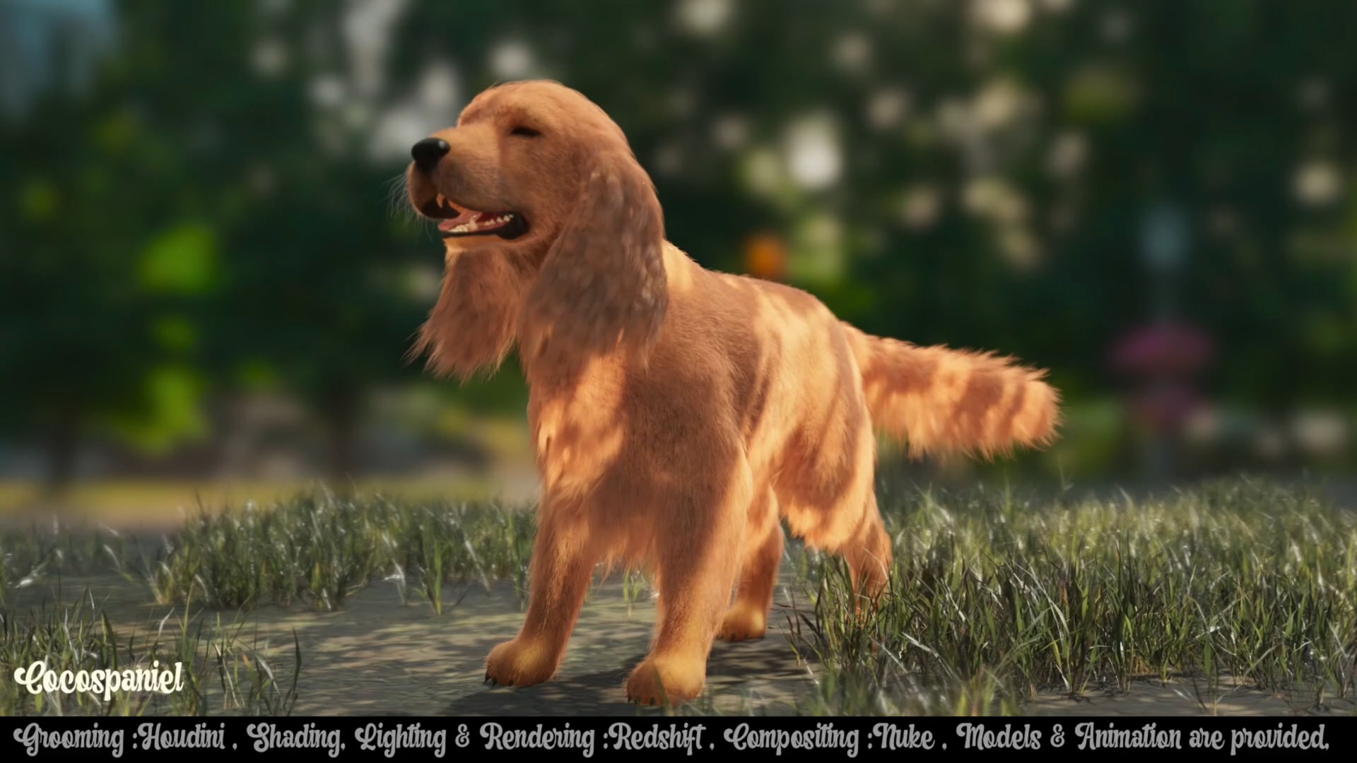 Houdini Grooming demoreel Ahmed ElNady CFX Artist