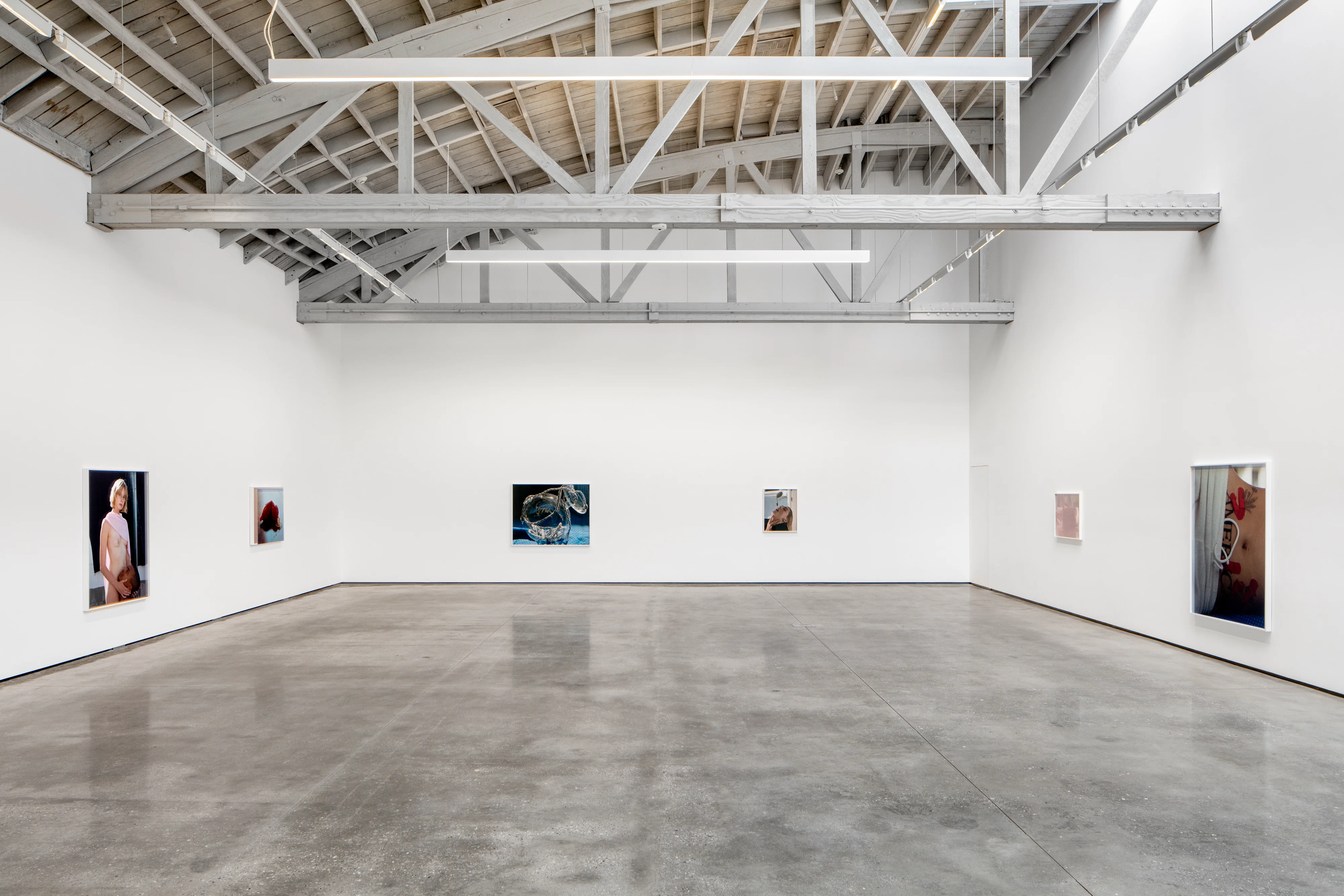 Torbjørn Rødland - Pain in the Shell - Exhibitions - David