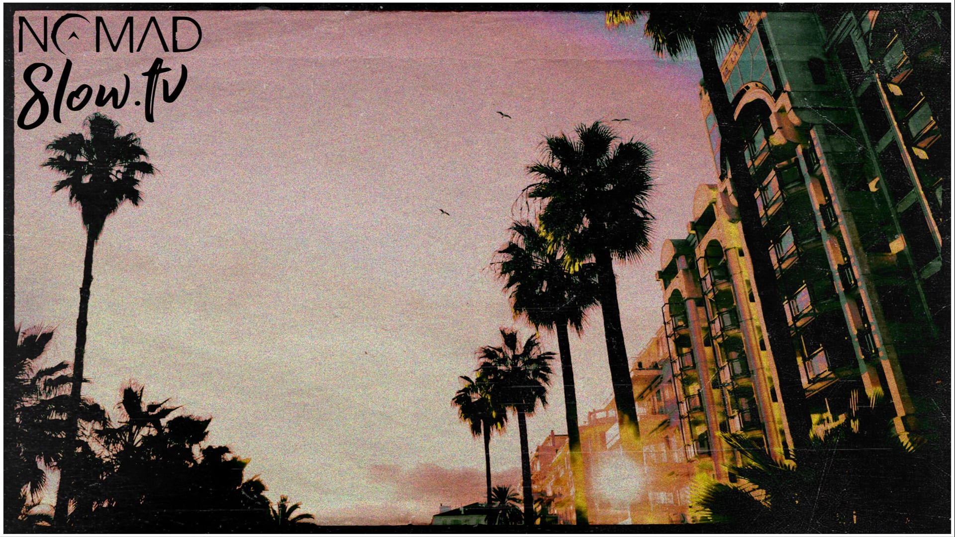 Cannes NOMAD Meditation