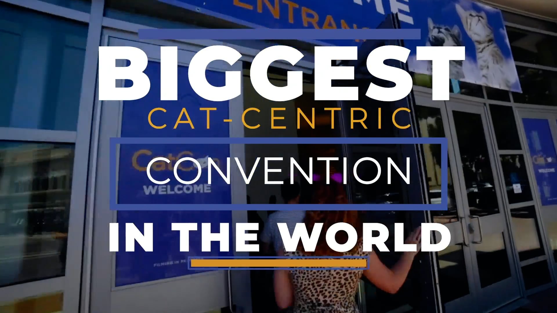 CatCon_2022 in Pasadena Promo (44) on Vimeo