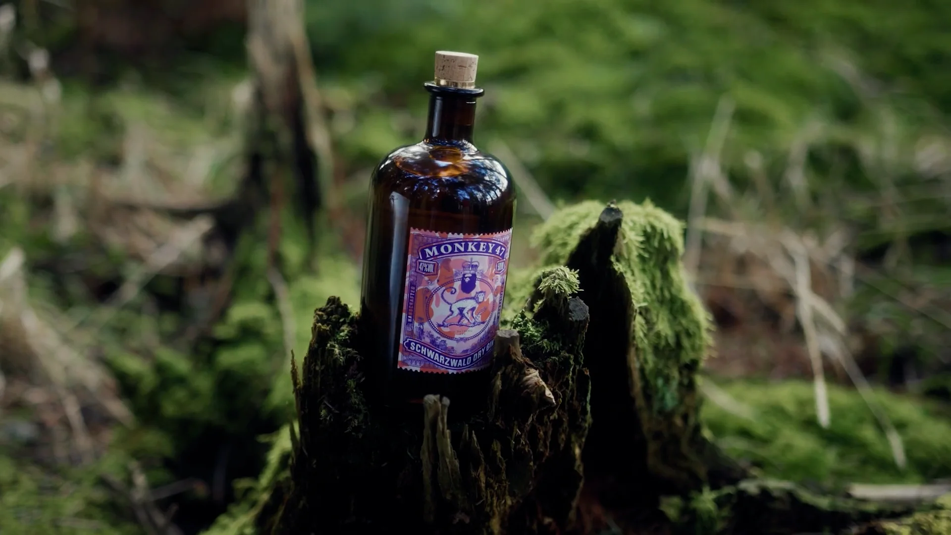 BAPE Collaborates With Monkey 47 on Lifestyle Capsule | Hypebae