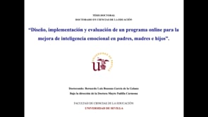 Diseño, implementación y evaluación de un programa online para la mejora de inteligencia emocional en padres, madres e hijos