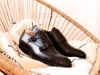 Video: VICTOR - Black leather - Leather sole