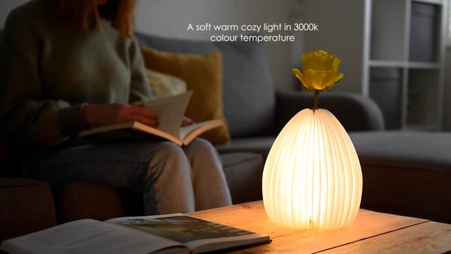 Smart Vase Light (Walnut) video thumbnail