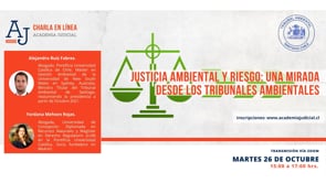 Justicia ambiental y riesgo: una mirada desde los tribunales ambientales / Alejandro Ruiz y Yordana Mehsen