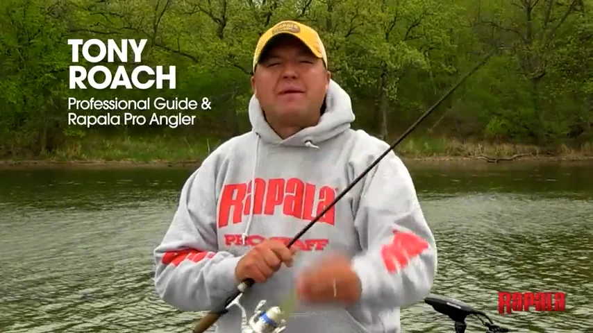 Rapala X-Rap 08 Medium Diving Jerkbait Bass Fishing Lure