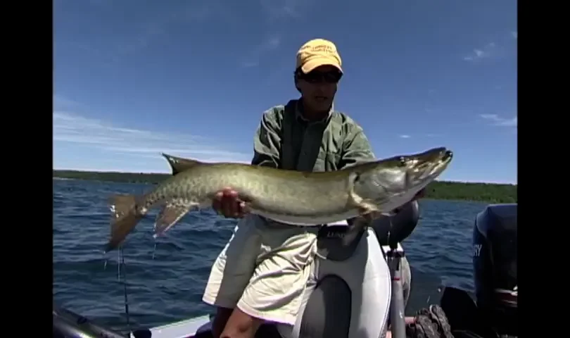 Rapala - X-Rap Magnum 15 & 20 on Vimeo