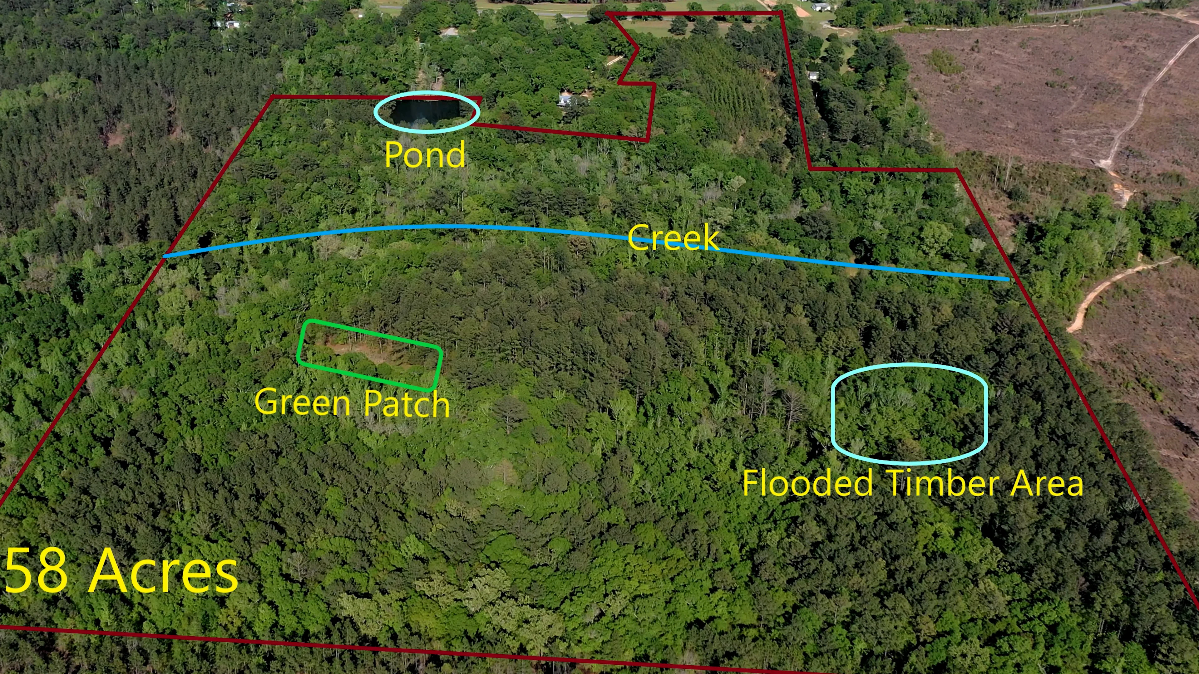 Cotton Hill Road.mp4 on Vimeo