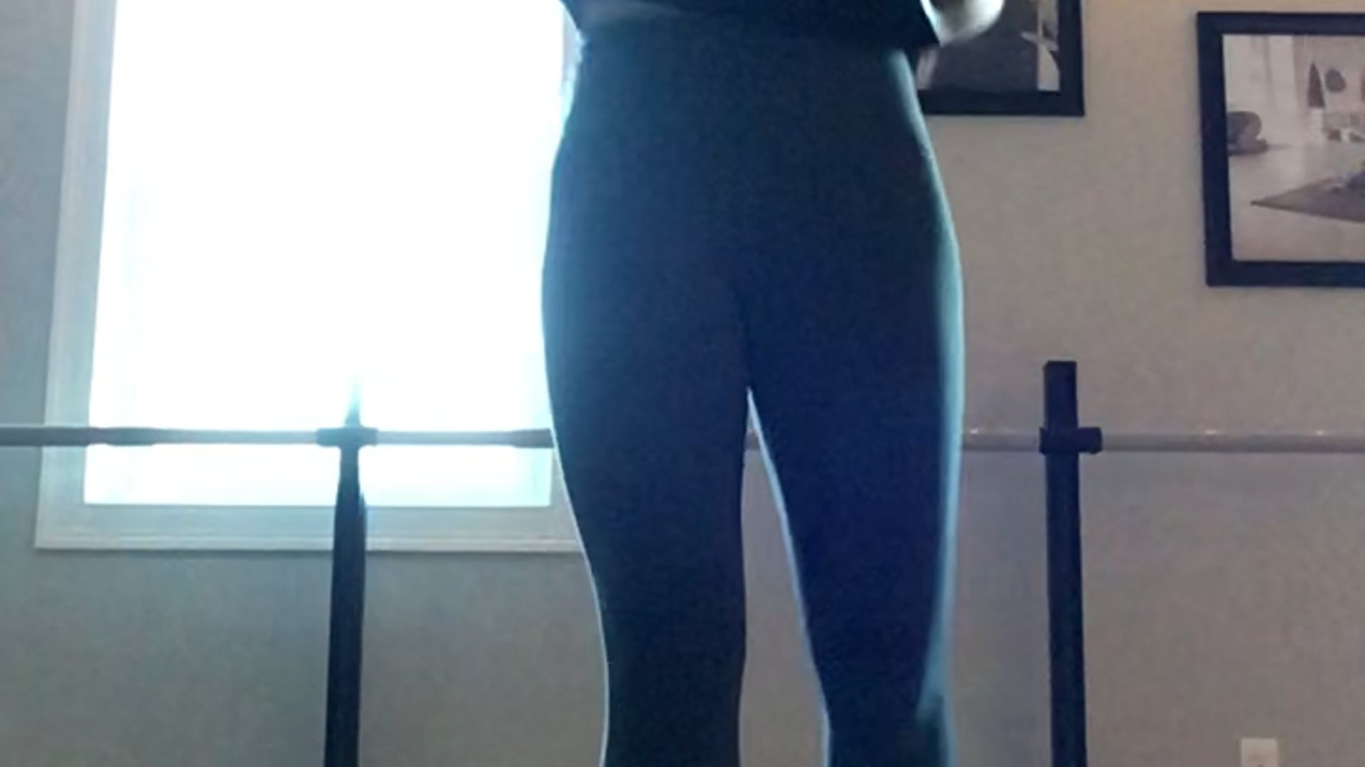 Barre Basics with Emily