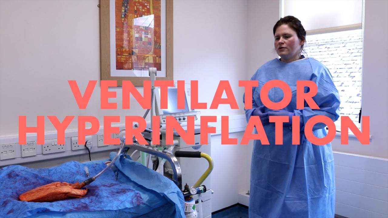 ventilator_hyperinflation (720p).mp4 on Vimeo