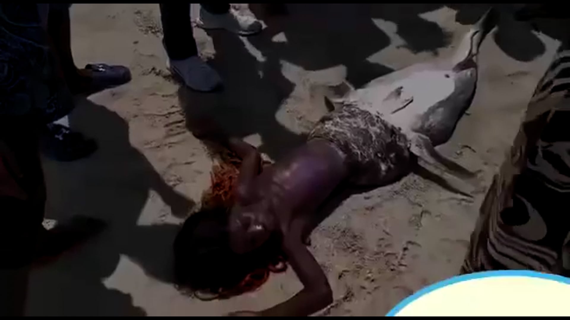 Mermaid Sighting in Kenya or South Africa?