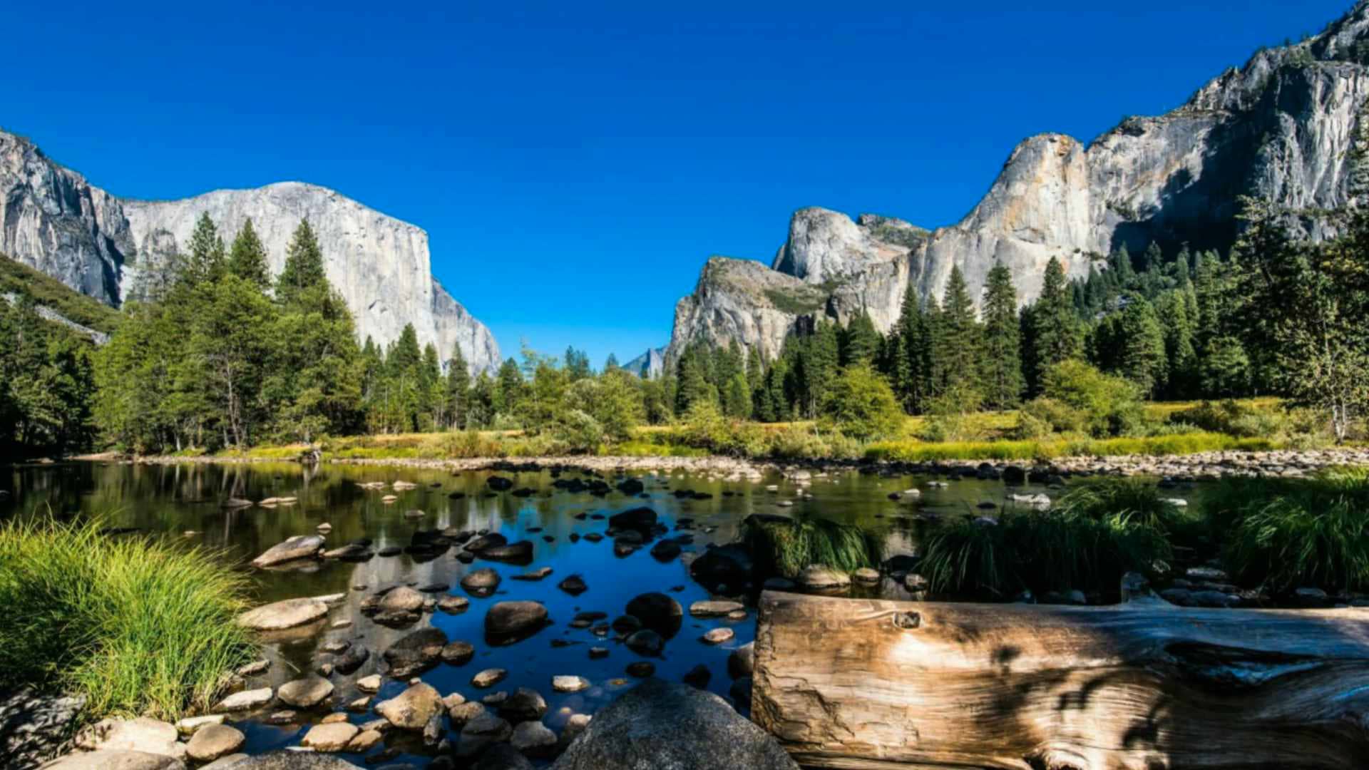 Nature 80 on Vimeo