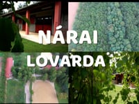 Lovarda Nárai reklám