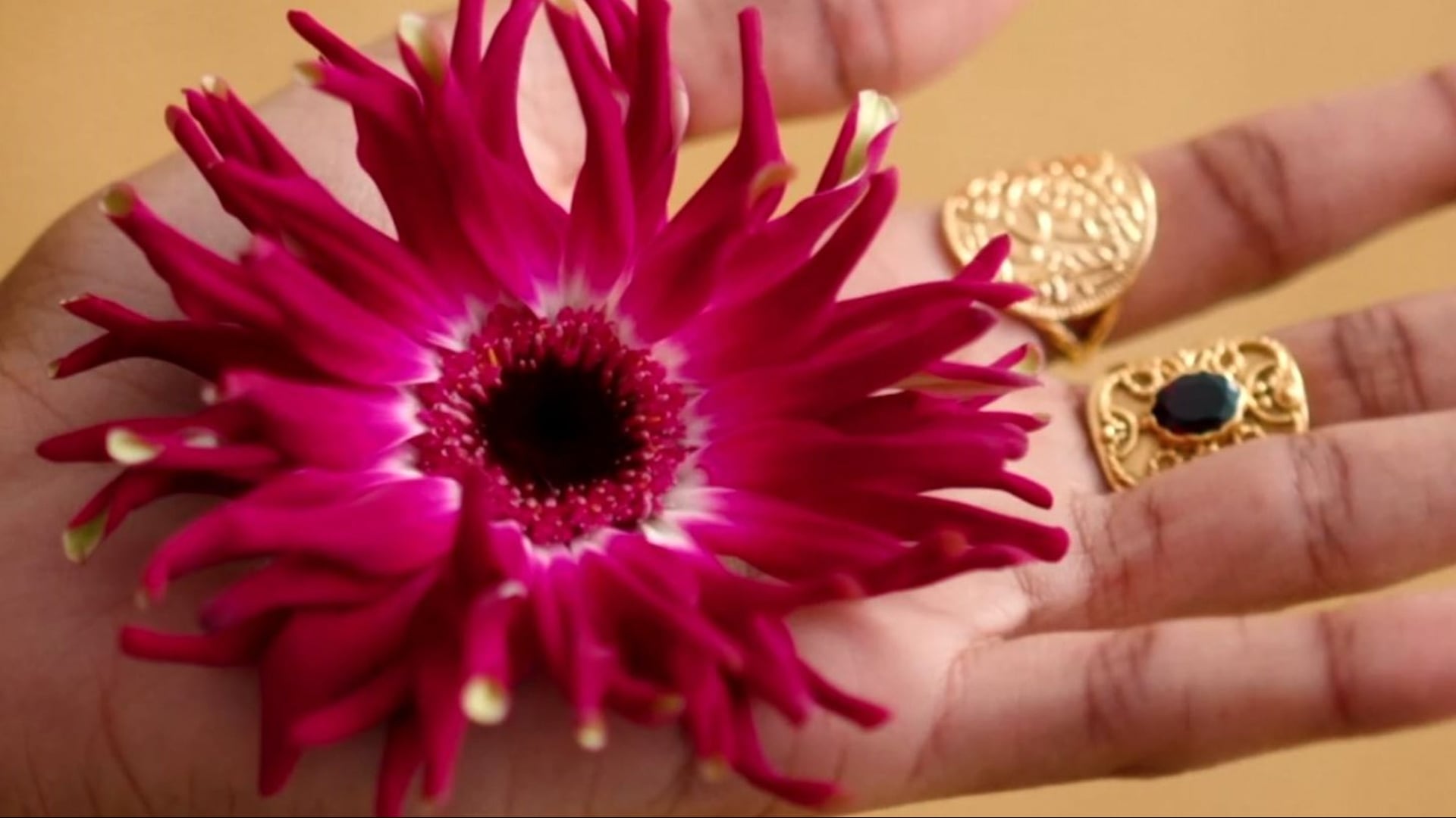 Sézane - Accessories