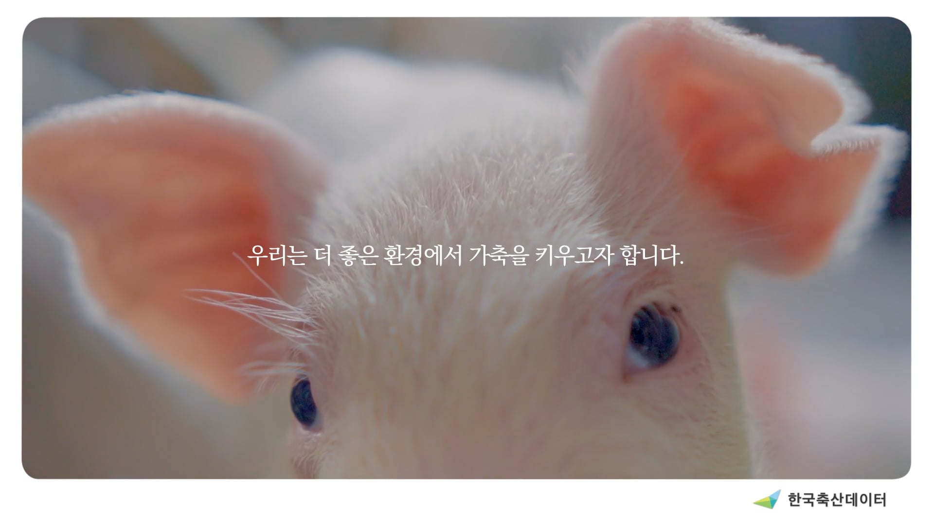 한국축산데이터 3'18"