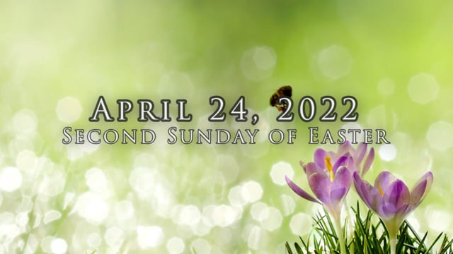 April 24 2022