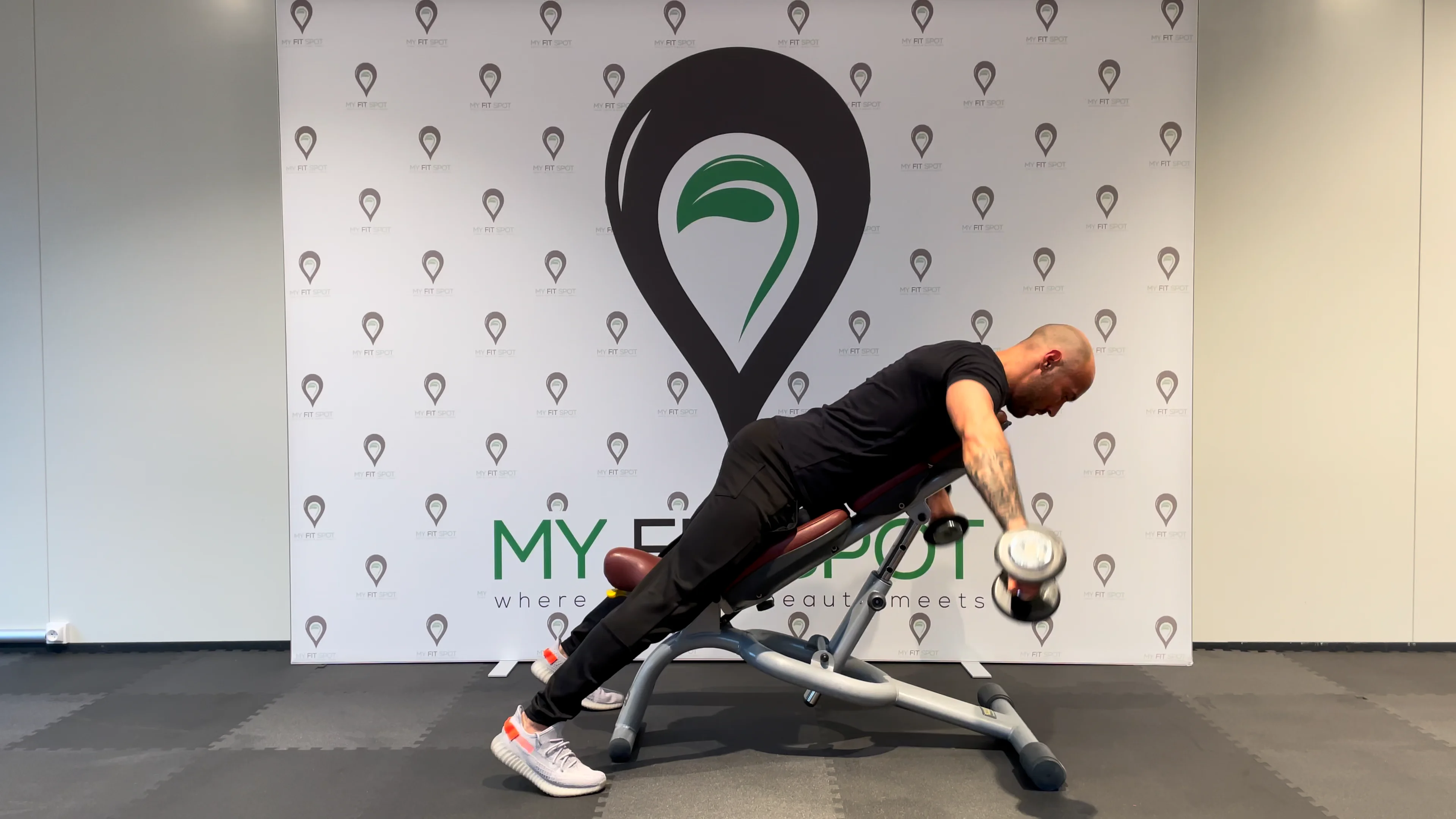 284-Dumbbell-Bayesian-Reverse-Fly on Vimeo