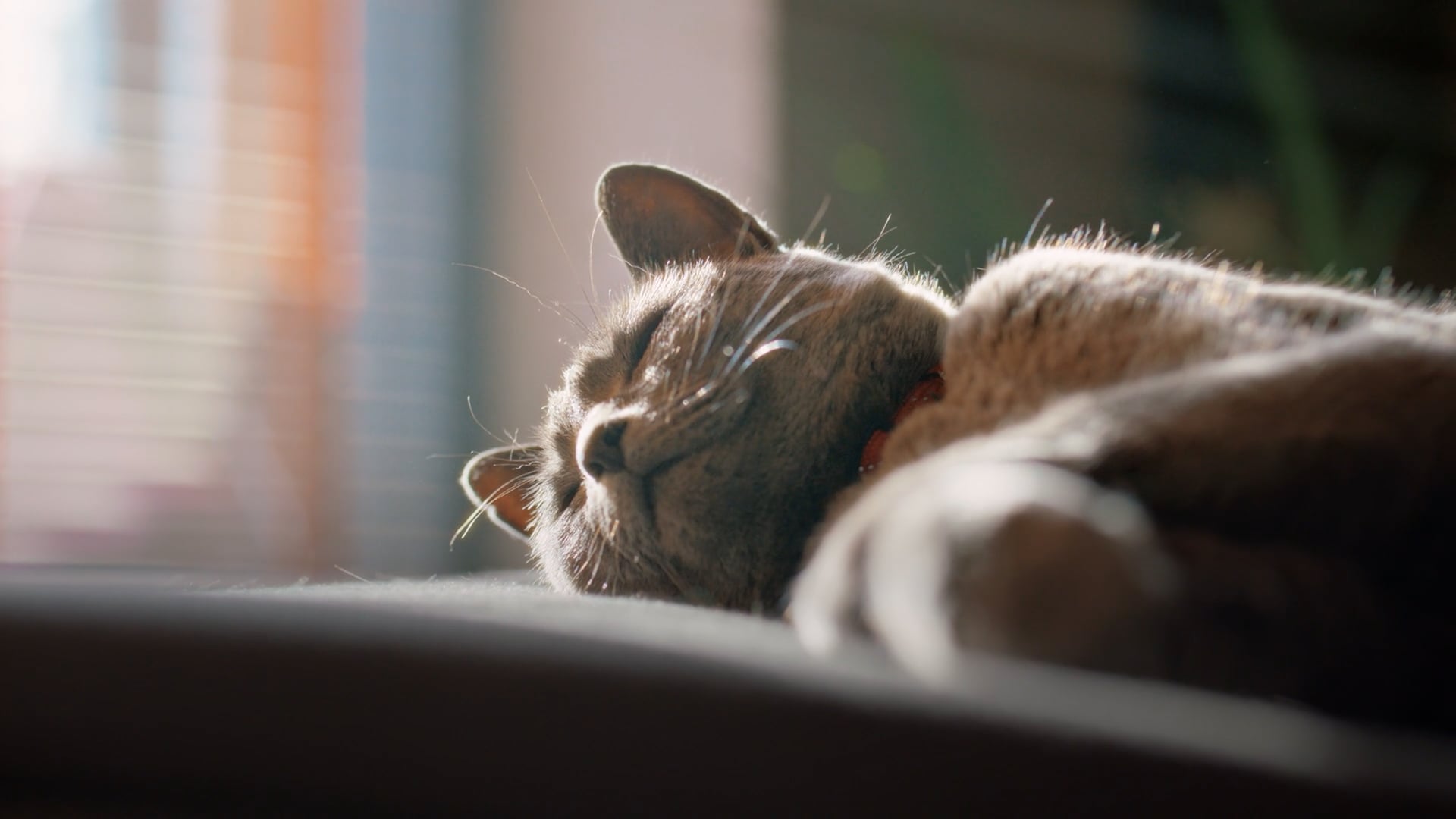 Muuda maailma. Märkamatult. LHV roheline TVC