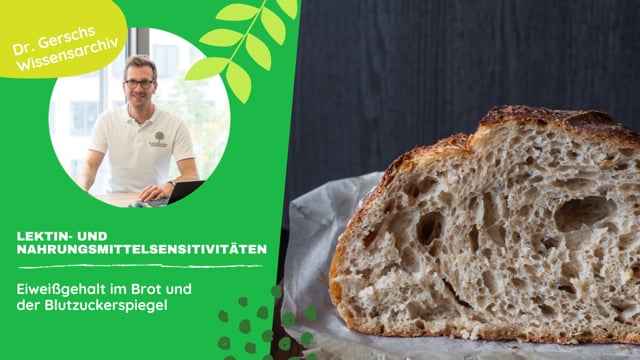 Eiweißgehalt im Brot und die Auswirkungen auf den Blutzuckerspiegel