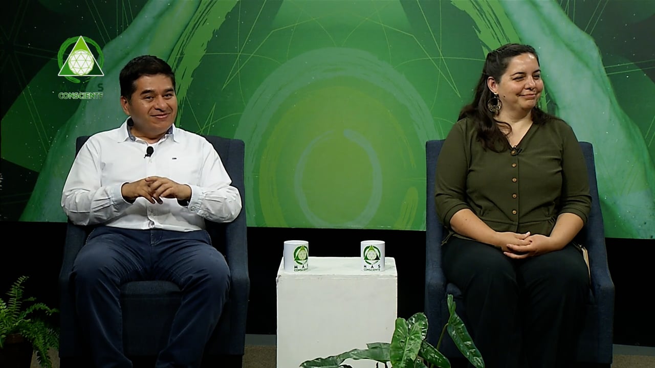 Vegetación y Ciudad P2