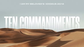 I Am My Beloved's