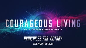 Priciples For Victory