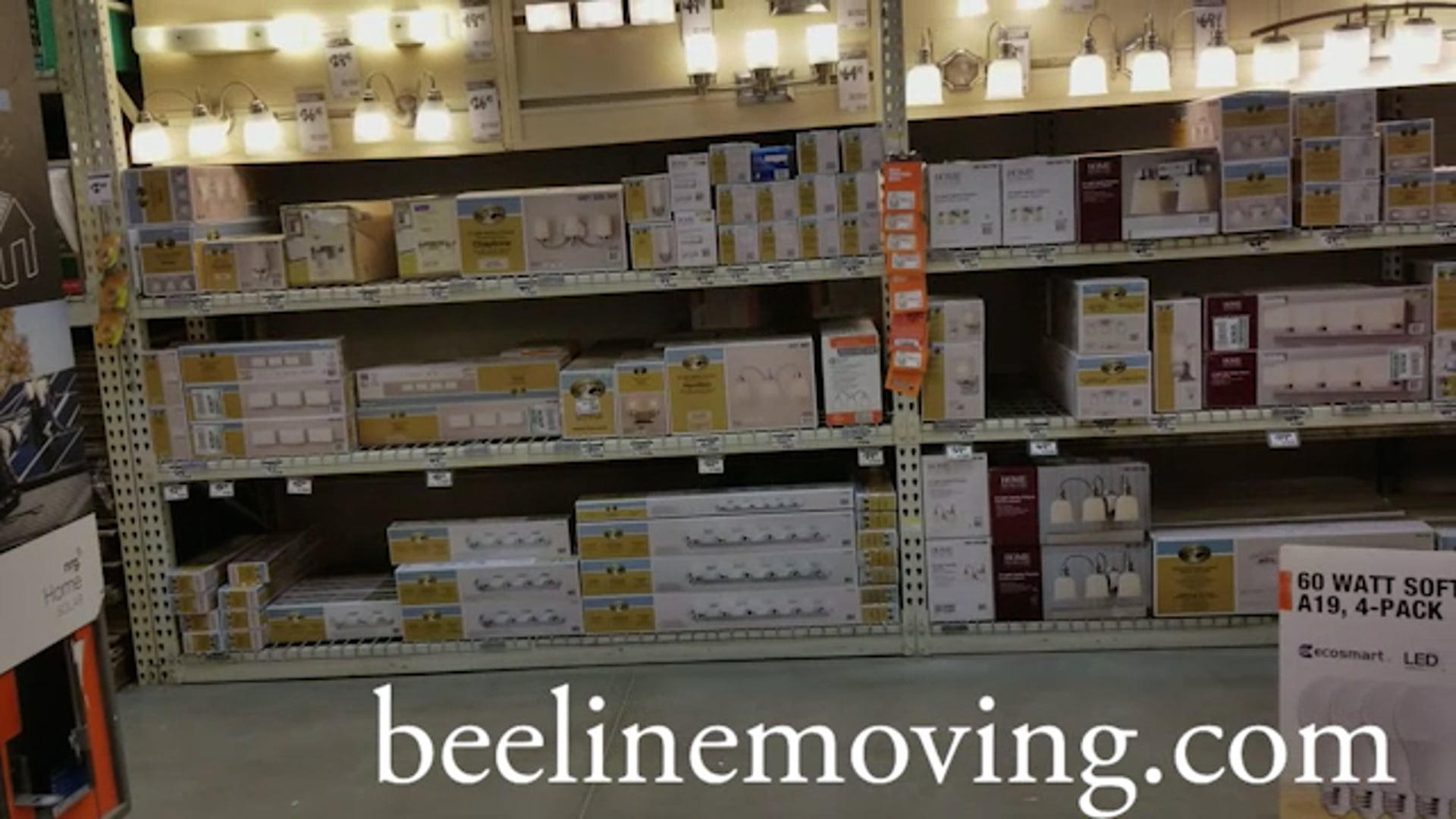 Beeline 2.mp4