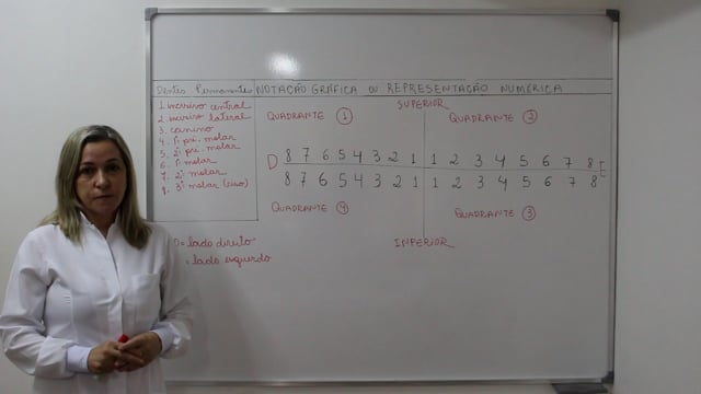 M6 - Notacão Dentária