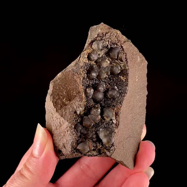 Siderite (var: Sphaerosiderite) (rare style)