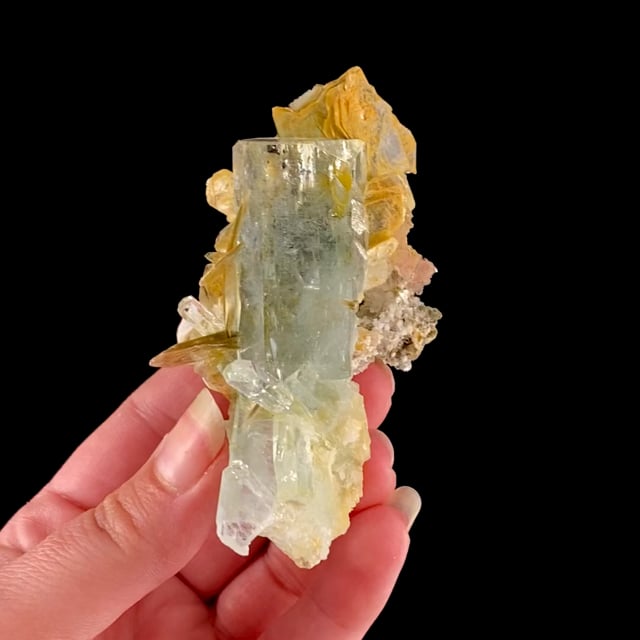 Beryl (var: Aquamarine) (GEMMY crystals) with Muscovite