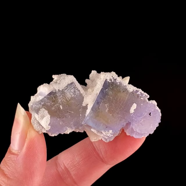 Fluorite (''floater'' specimen) (ex Ross Lillie Collection)