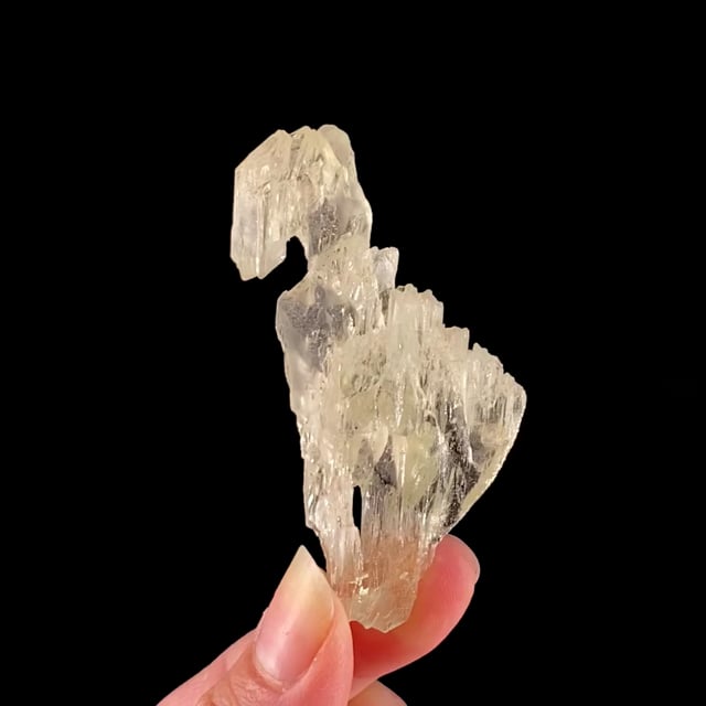 Spodumene (heavily etched ''floater'' crystal)