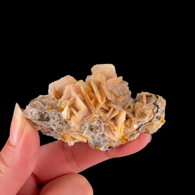 Wulfenite coated by drusy Quartz (ex Bob Reynolds Collection)