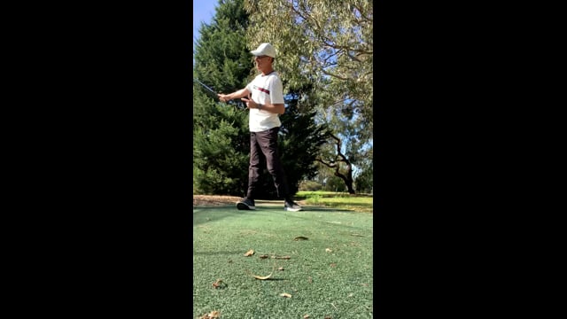 Play swing video