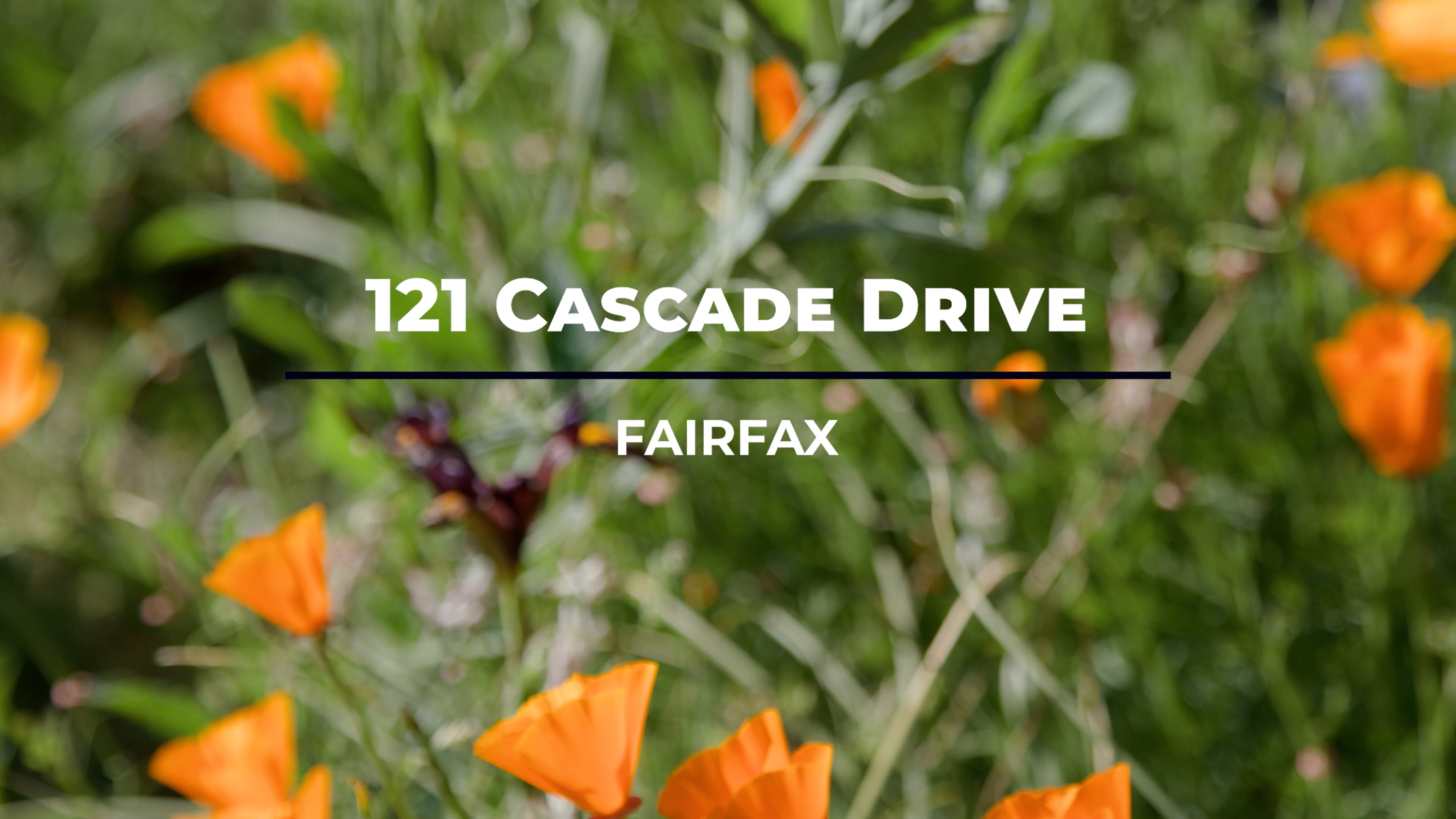 121 Cascade Drive Unbranded on Vimeo