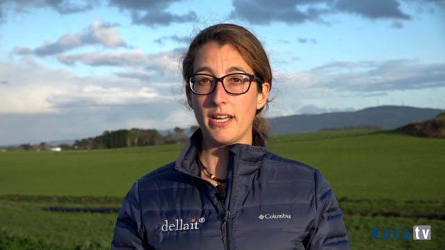 Yolanda Trillo