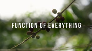 Function of Everything