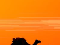 I am Döner launches Camel Kebab