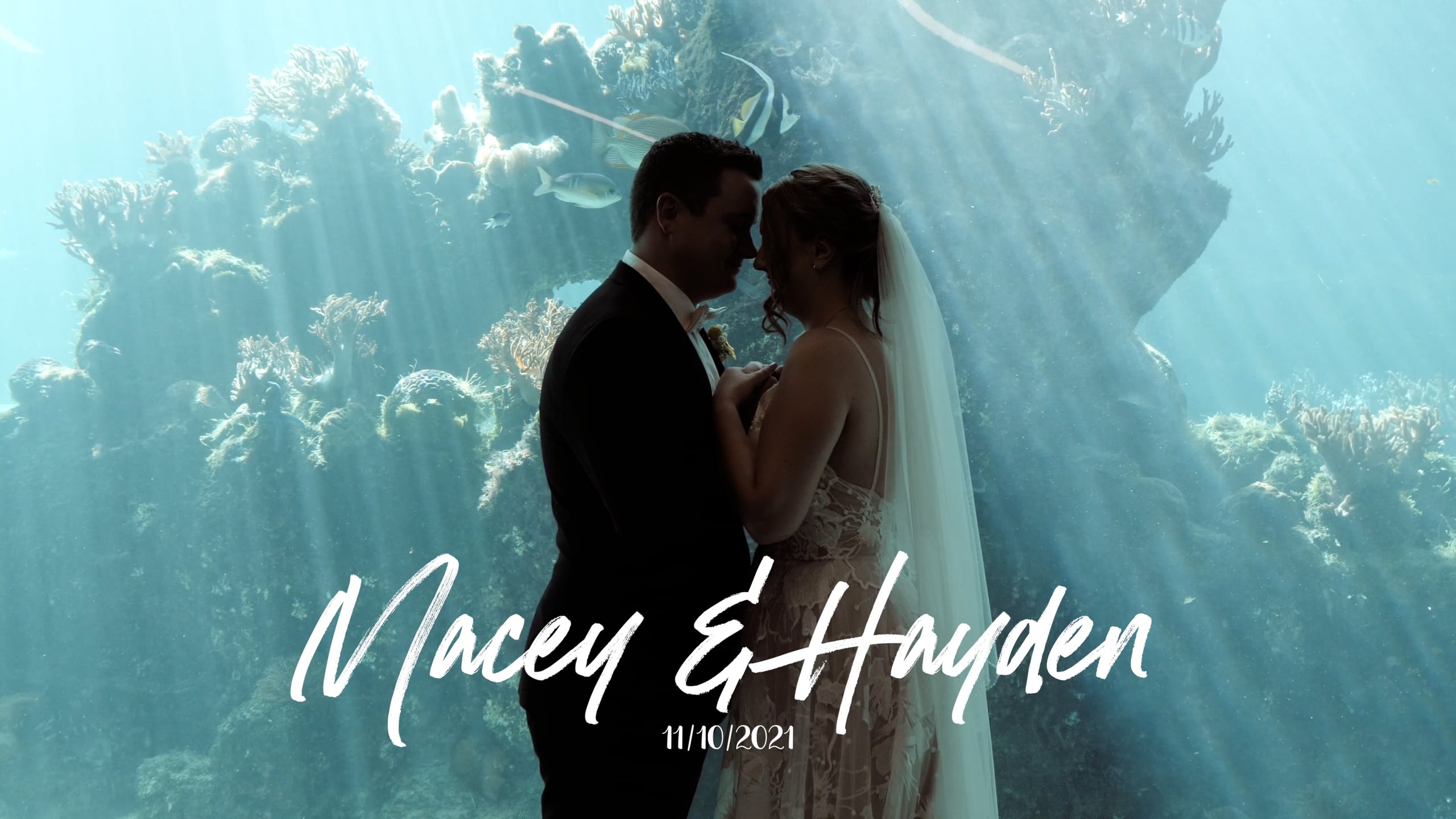 Macey & Hayden - Cinematic Highlights