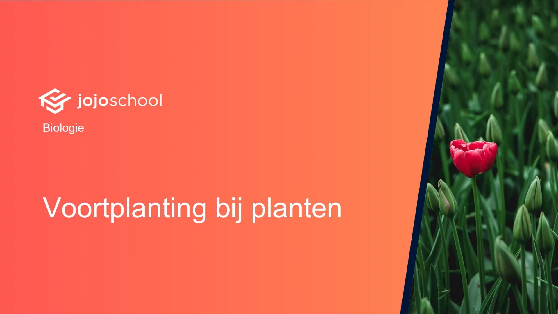 Voortplanting bij planten