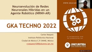 Neuroevolución de Redes Neuronales Híbridas en un Agente Robótico (NRNH-AR)