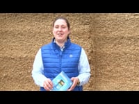 Características de la variedad DKC 6308