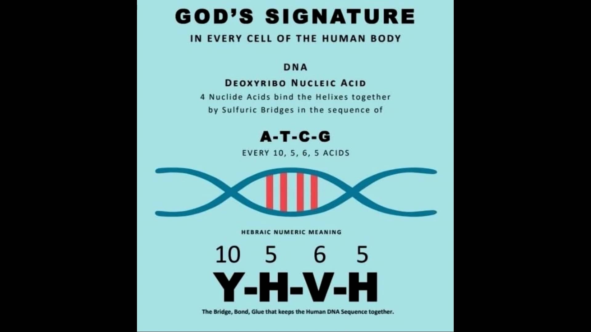 god-s-signature-on-human-dna-on-vimeo