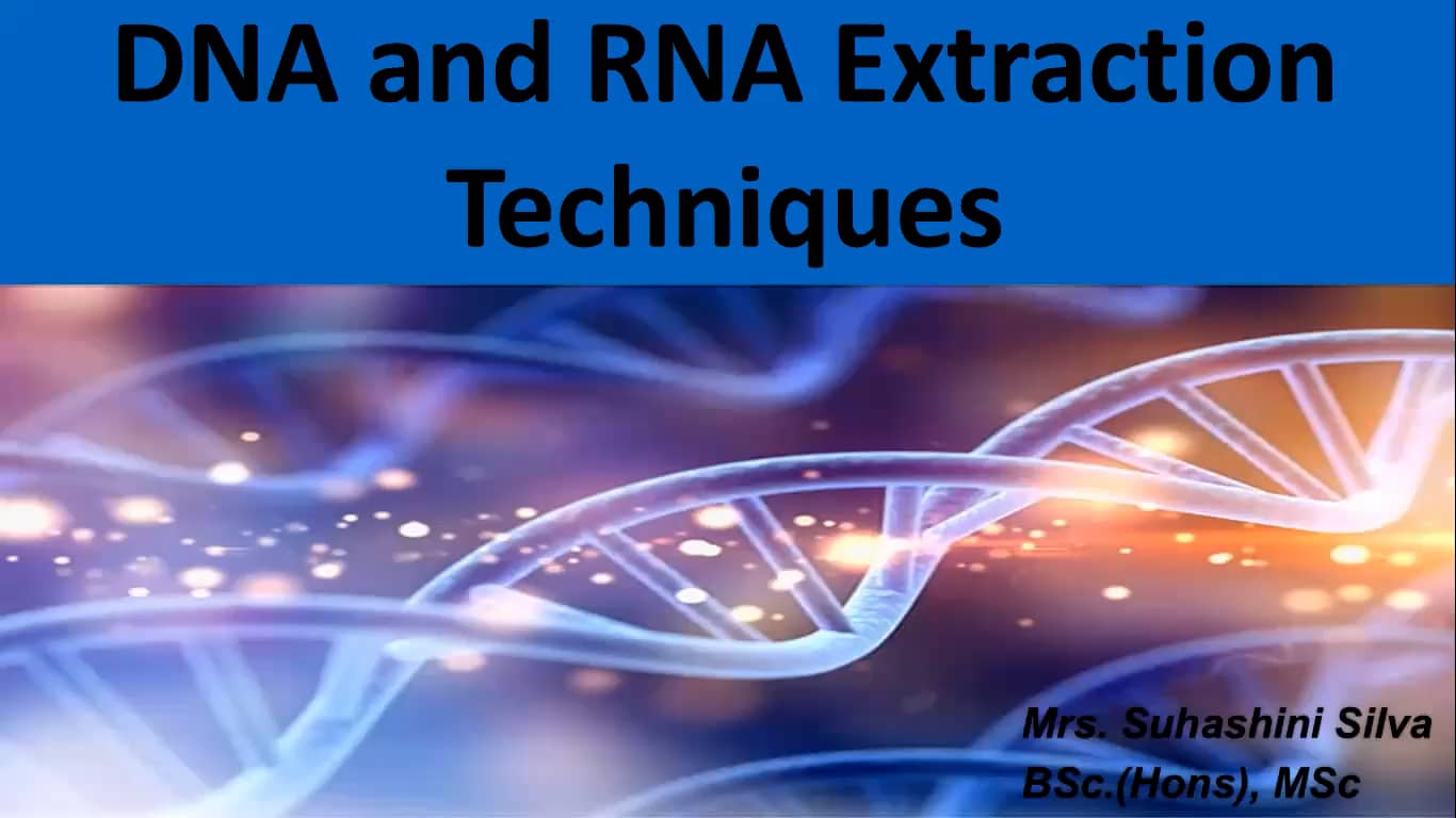 DNA and RNA extraction techniques on Vimeo