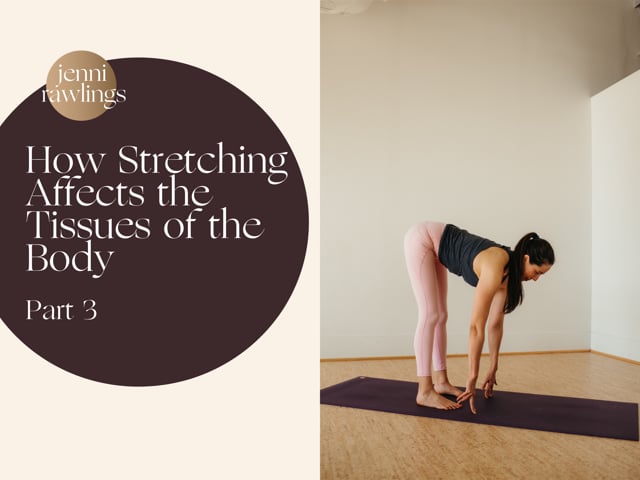 How Stretching Affects the Tissues of the Body, Part 3 of 3