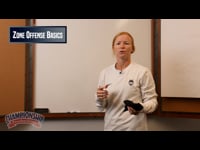 Preview Video #1