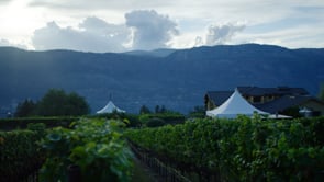 Wicked Wine Tours